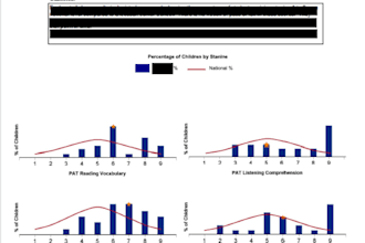 design and develop professional and interactive ssrs reports