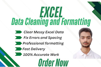 do excel data cleaning, formatting, and organization