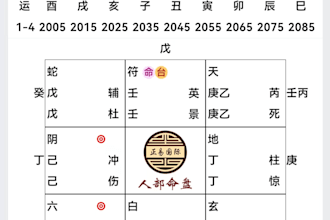 provide chinese astrology feng shui
