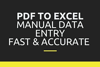 convert PDF to excel with accuracy in 12h delivery