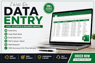 do accurate data entry, copy paste and excel work