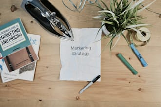 provide expert marketing consulting and strategy for your startup