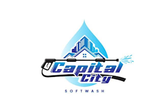 design power soft washing company logo