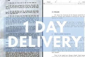 fast and accurate PDF to word typing service