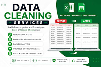 clean, format and organize excel data