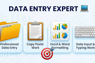 do professional data entry and data input work