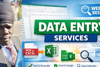 do professional data entry, excel data cleanup and web research services