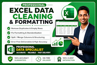 be your excel data specialist for data cleaning and formatting