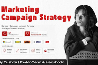 develop marketing campaign strategy and high converting ad copy