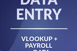 do accurate excel data entry vlookup payroll and data cleaning