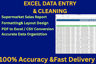 be your expert data entry and virtual assistant