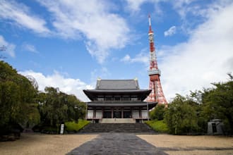 visit shrine or temple in tokyo japan to pray instead of you