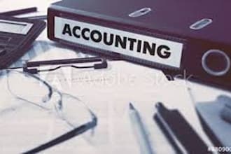 provide professional bookkeeping and accounting services