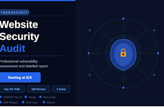 perform  website security audit and vulnerability assessment