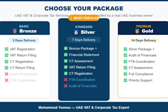 prepare and file uae vat and ct return for your business