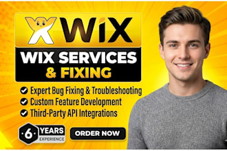 fix bugs, issues, add new features, api integrations with wix velo