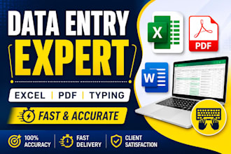 do excel data entry x copy typing and ms office work professionally