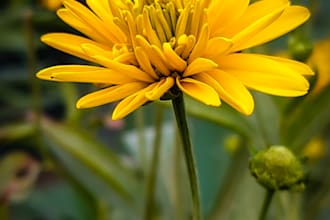 provide nature photography images