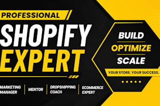 be shopify marketing manager shopify mentor dropshipping coach ecommerce
