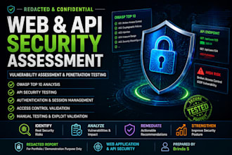 perform web and API security testing using owasp methodology
