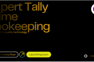 provide professional bookkeeping and tally prime accounting