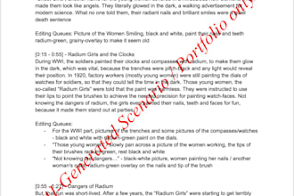 write high quality video scripts for your videos