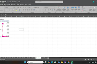 do accurate data entry, copy, paste, excel and web search