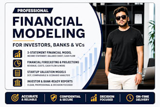 build an institutional grade financial model for investors, banks, and vcs