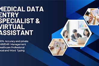 be your medical data entry and virtual assistant