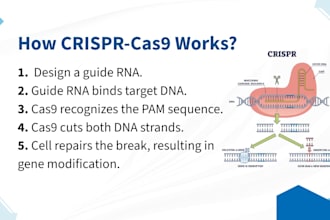 design biology and science presentation slides