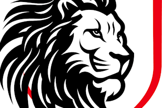 desighn a professional logo