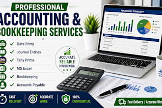 do accounting bookkeeping journal entries  and data entry in excel