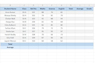 do fast and accurate data entry and ms excel work