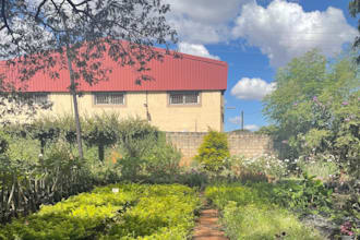 verify suppliers and businesses on the ground in zambia