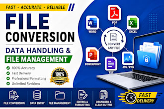 provide the service of data managment, file conversion etc