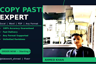 do fast and accurate copy paste work in excel and word