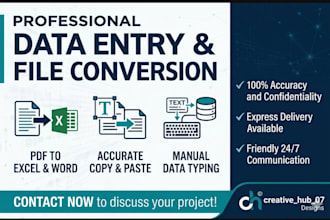 be your virtual assistant for data entry and copy paste work