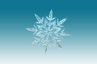 create snowflake stored procedure and functions