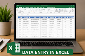 do accurate data entry in excel and tally prime