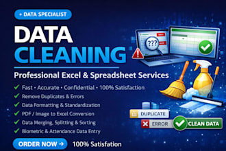 clean, organize and format your excel data with 100 percent accuracy