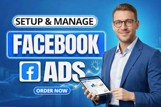 setup and manage meta ads campaign