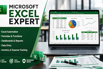 create professional microsoft excel spreadsheets, formulas, and automation