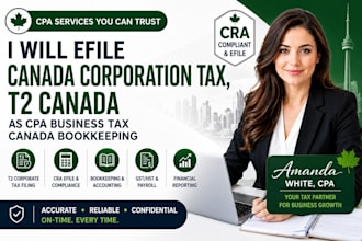 efile canada corporation tax, t2 canada as CPA business tax canada bookkeeping