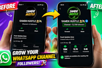 grow whatsapp channel hit 1m whatsapp followers, whatsapp channel promotion