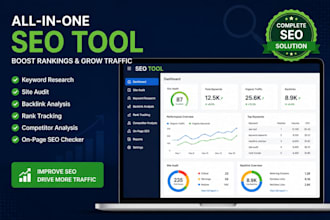 provide a custom website seo audit tool or script