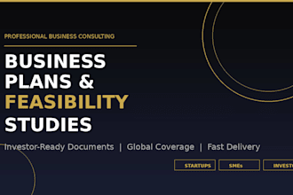 write an investor ready business plan and feasibility study for startups
