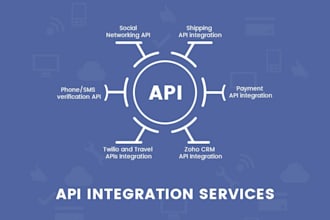 build custom API integration, payment and analytics solutions