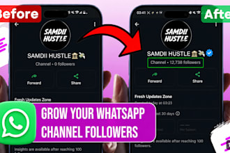 increase 900k whatsapp followers whatsapp promotion, whatsapp channel promotion