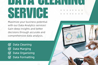 clean, organize, and analyze excel or power bi data