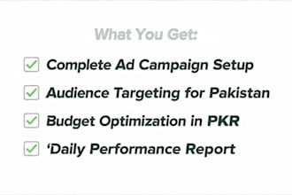 setup and manage high ROI facebook and instagram ads